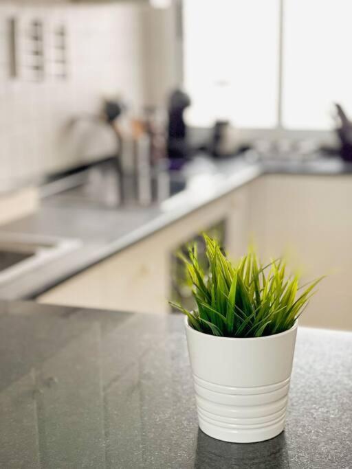 Apartament Oceano Azul Luminoso 50 Metros Del Mar En Centro Corralejo Zewnętrze zdjęcie